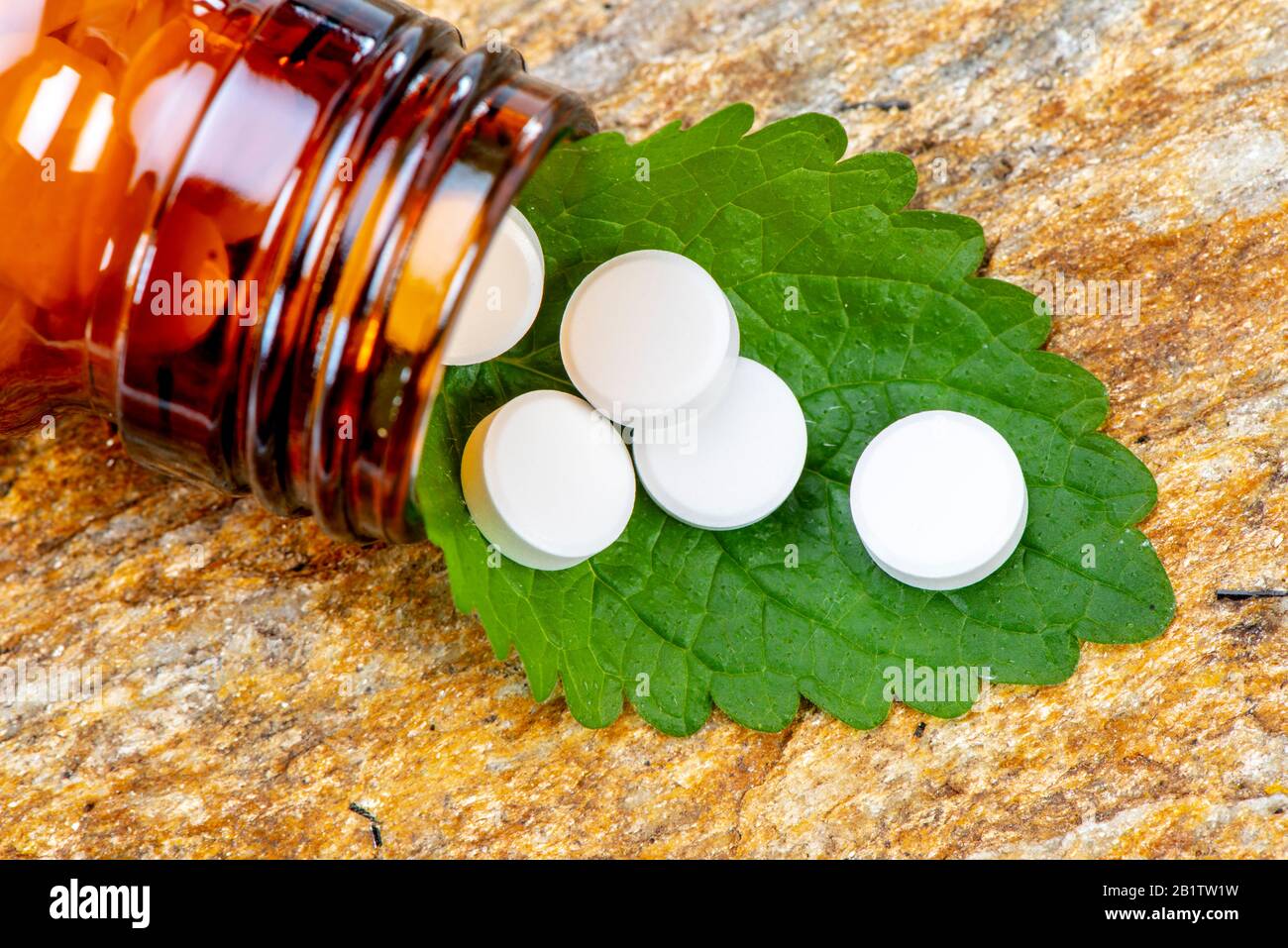 Alternative Medizin mit pflanzlichen und homöopathischen Pillen Stockfoto