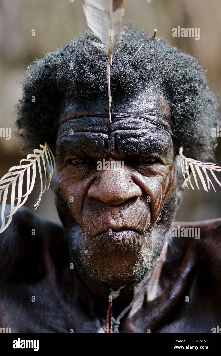 Papua-Mann aus dem Stamm der Dani, Jiwika Dorf, Baliem Tal - Occidental Papua, Indonesien Stockfoto