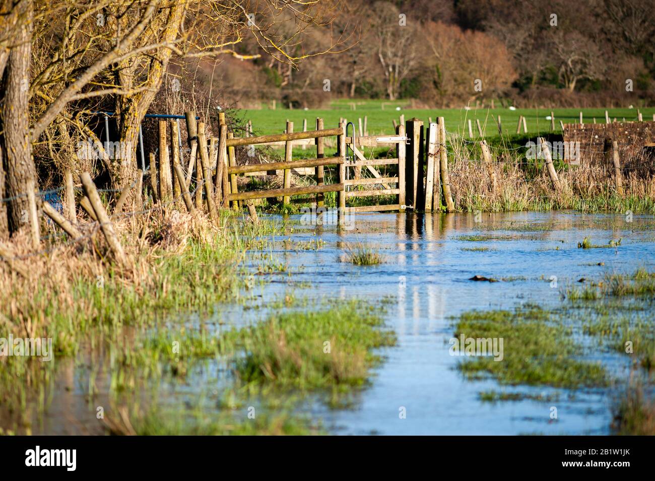 Überschwemmter Fußweg nach starkem Regen im Februar 2020, Avon Valley Footpath, Hampshire, Großbritannien Stockfoto
