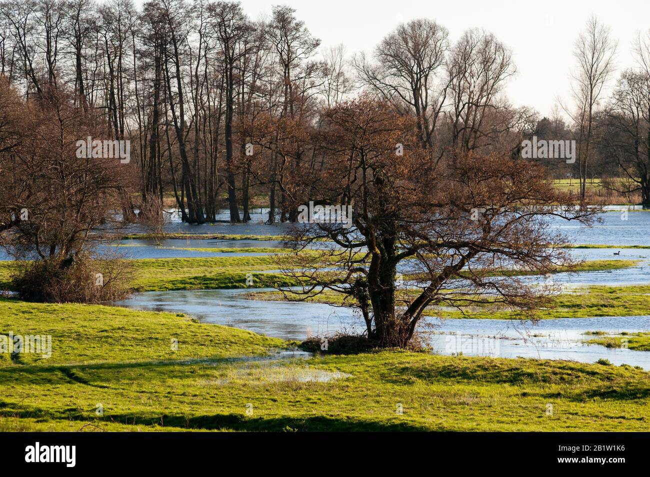 Überschwemmte Felder und Ackerland nach starken Regenfällen im Februar 2020 im River Avon Valley in Hampshire Stockfoto