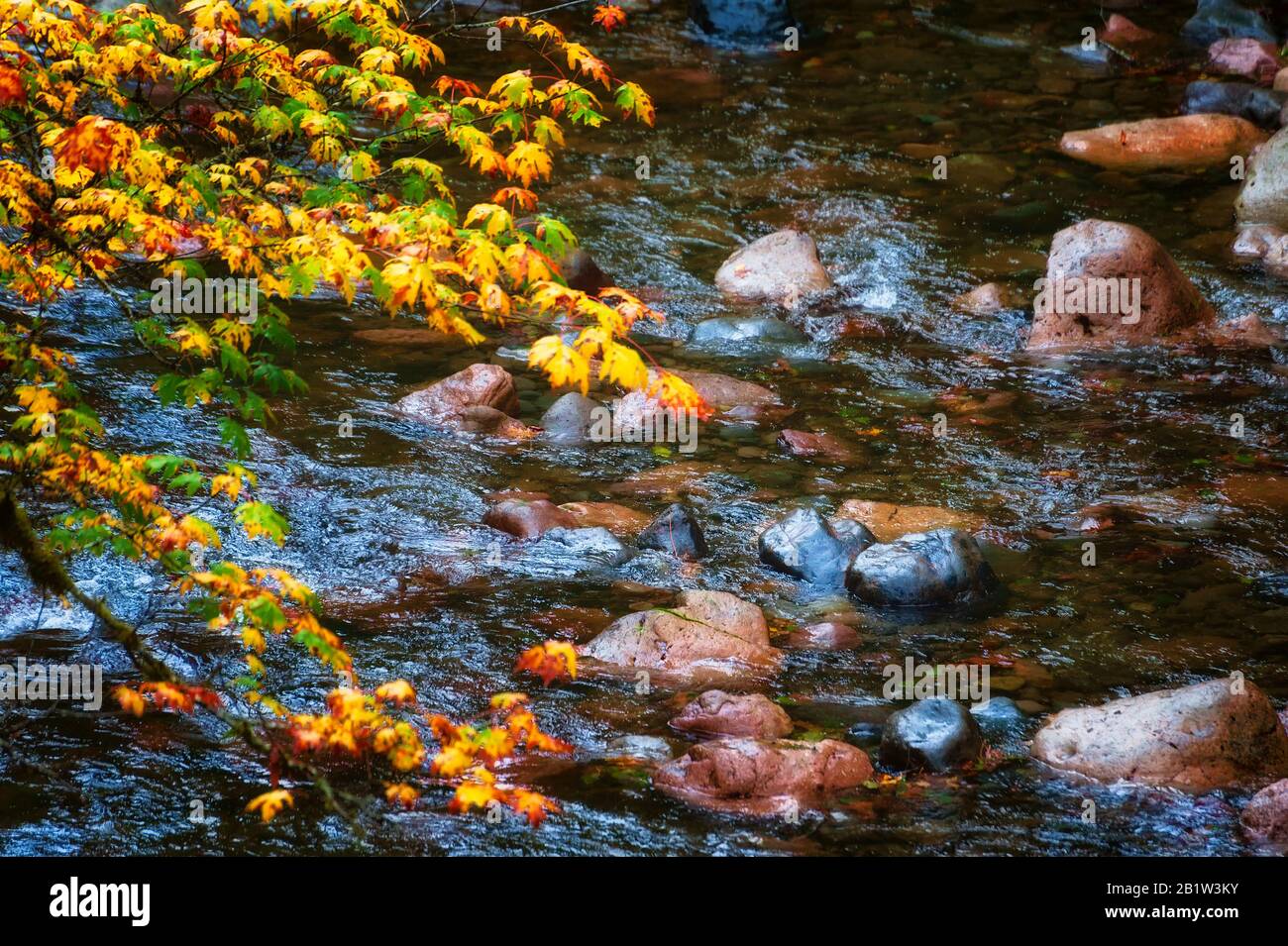 Farben, die Licht von leichtem Regen an den Gewässern des South Santiam River auf dem McKenzie Pass reflektieren - die malerische Umgebung von Santiam Pass in Oregon Stockfoto