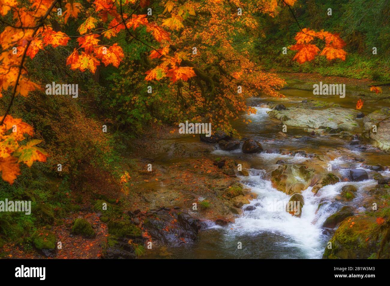 Farben, die Licht von leichtem Regen an den Gewässern des South Santiam River auf dem McKenzie Pass reflektieren - die malerische Umgebung von Santiam Pass in Oregon Stockfoto