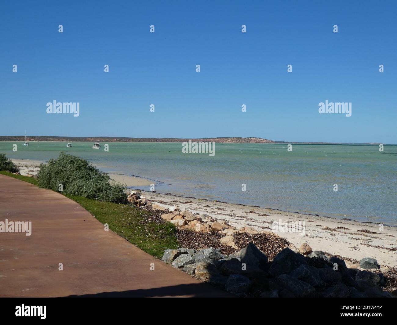 Denham Shark Bay, Western Australia Stockfoto