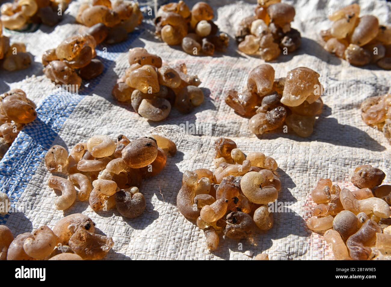 Niger, Niamey, Market, arabic Gum, ein Baumharz aus Baumakazie senegal, das in der Sahelregion zu finden ist, in der Lebensmittelindustrie als Stabilisator verwendet wird, mit EU-E-Nummer E414, aber es hat auch medizinische Anwendungen / Verkauf von Gummi Arabicum Stockfoto