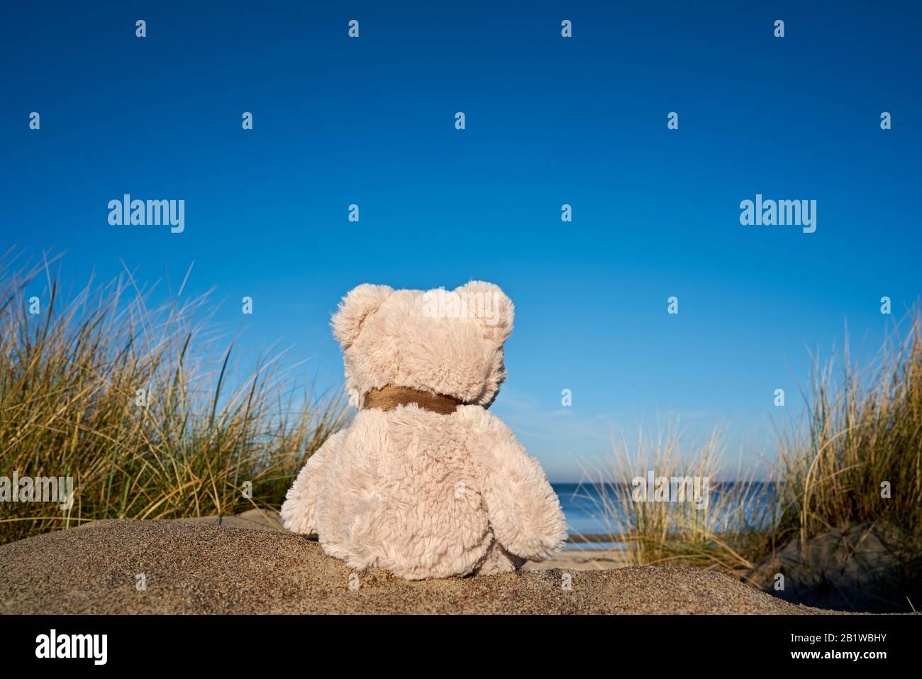 Trauriger Teddybär mit Wanderlust am Ostseestrand bei Warnemünde in