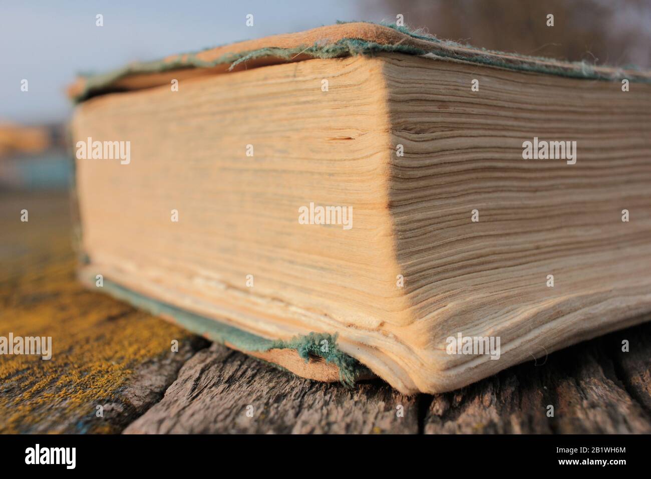 Altes schäbiges Buch auf einem rauen Holztisch, der im Freien mit Moos bedeckt ist. Stockfoto