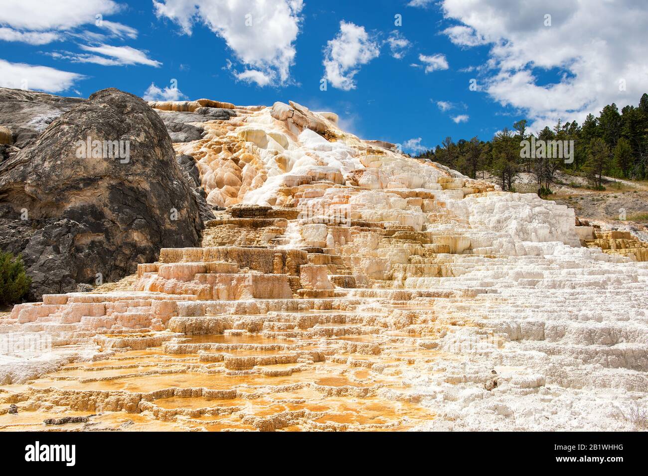 Yellowstone National Park, Wyoming, USA: Mammoth Hot Springs (Upper Terraces Area) Stockfoto