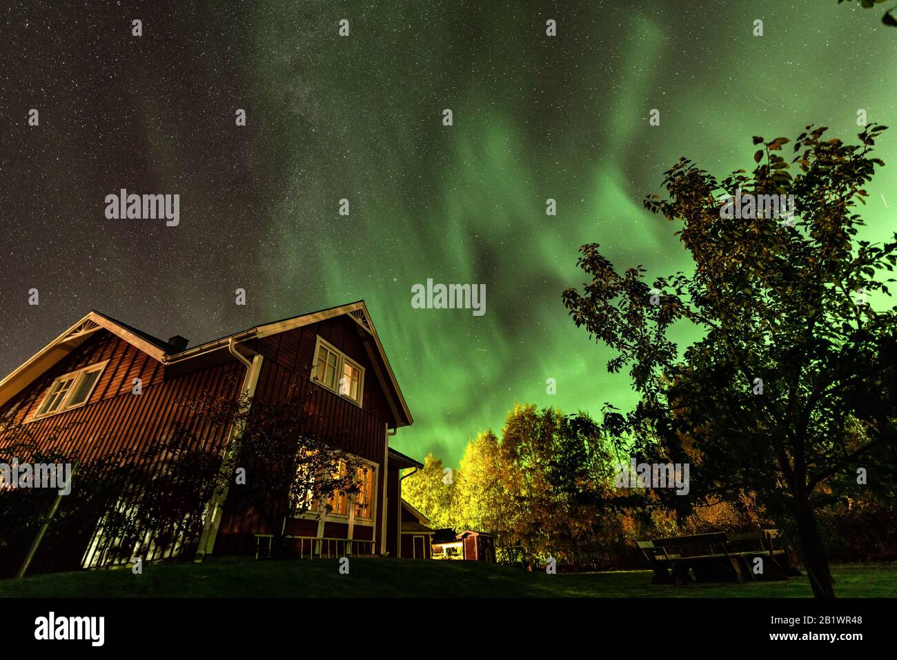Schöne Aussicht auf Nordlichter am Nachthimmel über traditionellen skandinavischen Holz roten Haus und Garten mit Apfelbaum auf der schwedischen Landschaft Stockfoto