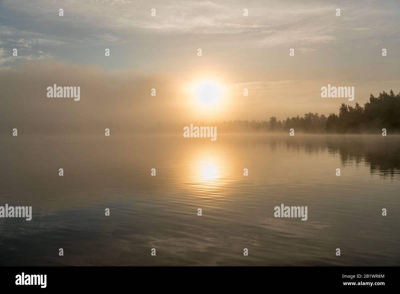 Wunderschöne goldene Sonne leuchtet durch Nebel am Wasser während des frühen Sonnenaufgangs, Sommer, Himmel Reflexion in ruhigem Wasser Stockfoto