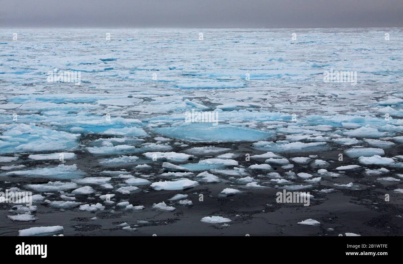 Svalbard Meereis Stockfoto