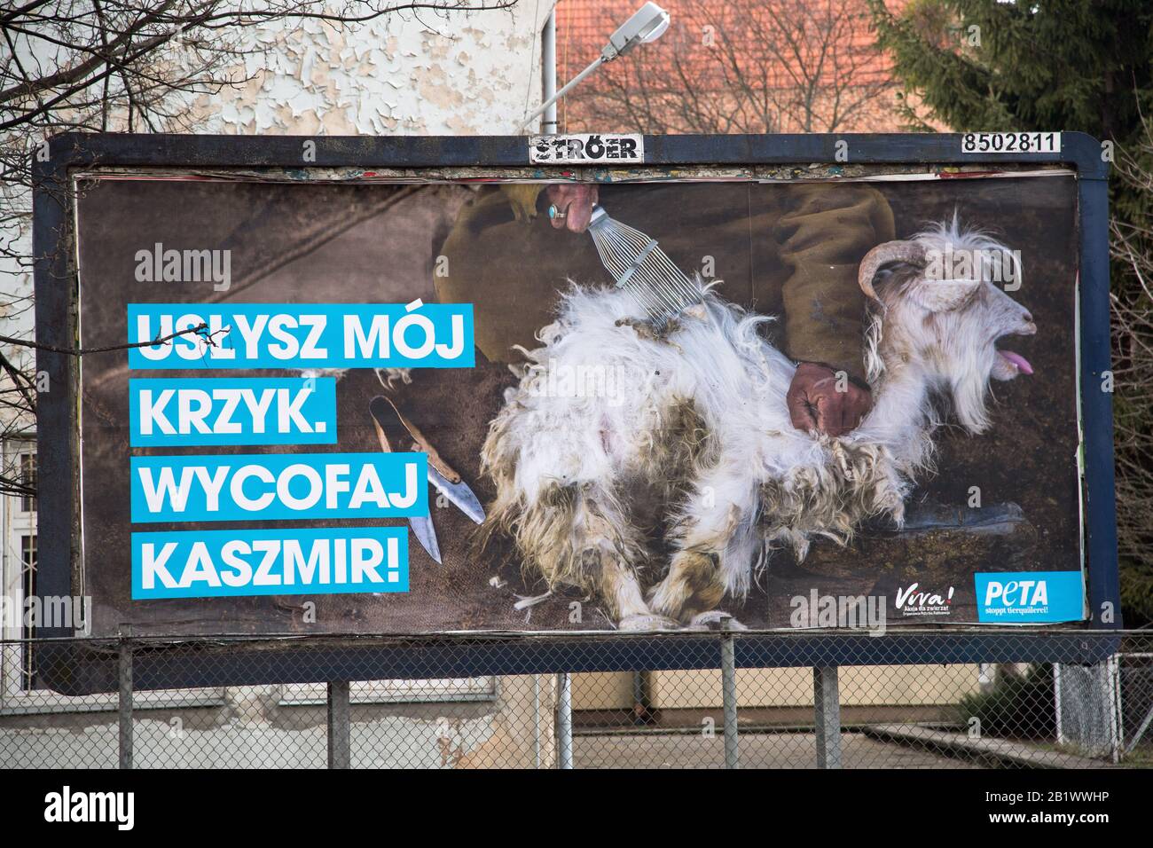 Kampagnenwerbung gegen Kaschmirwolle in Gdansk, Polen. Februar 2020 © Wojciech Strozyk / Alamy Stock Photo Stockfoto