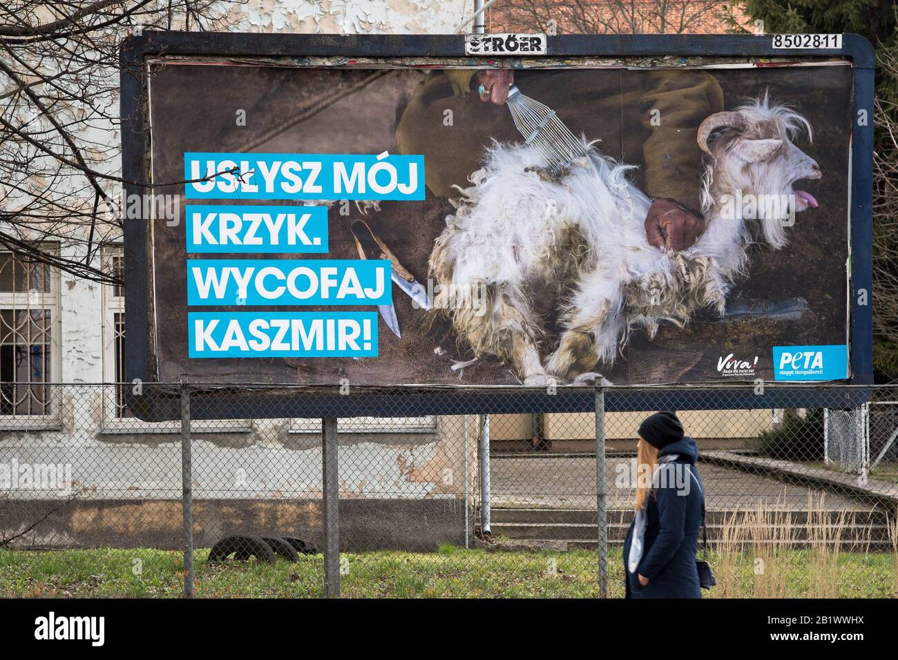 Kampagnenwerbung gegen Kaschmirwolle in Gdansk, Polen. Februar 2020 © Wojciech Strozyk / Alamy Stock Photo Stockfoto