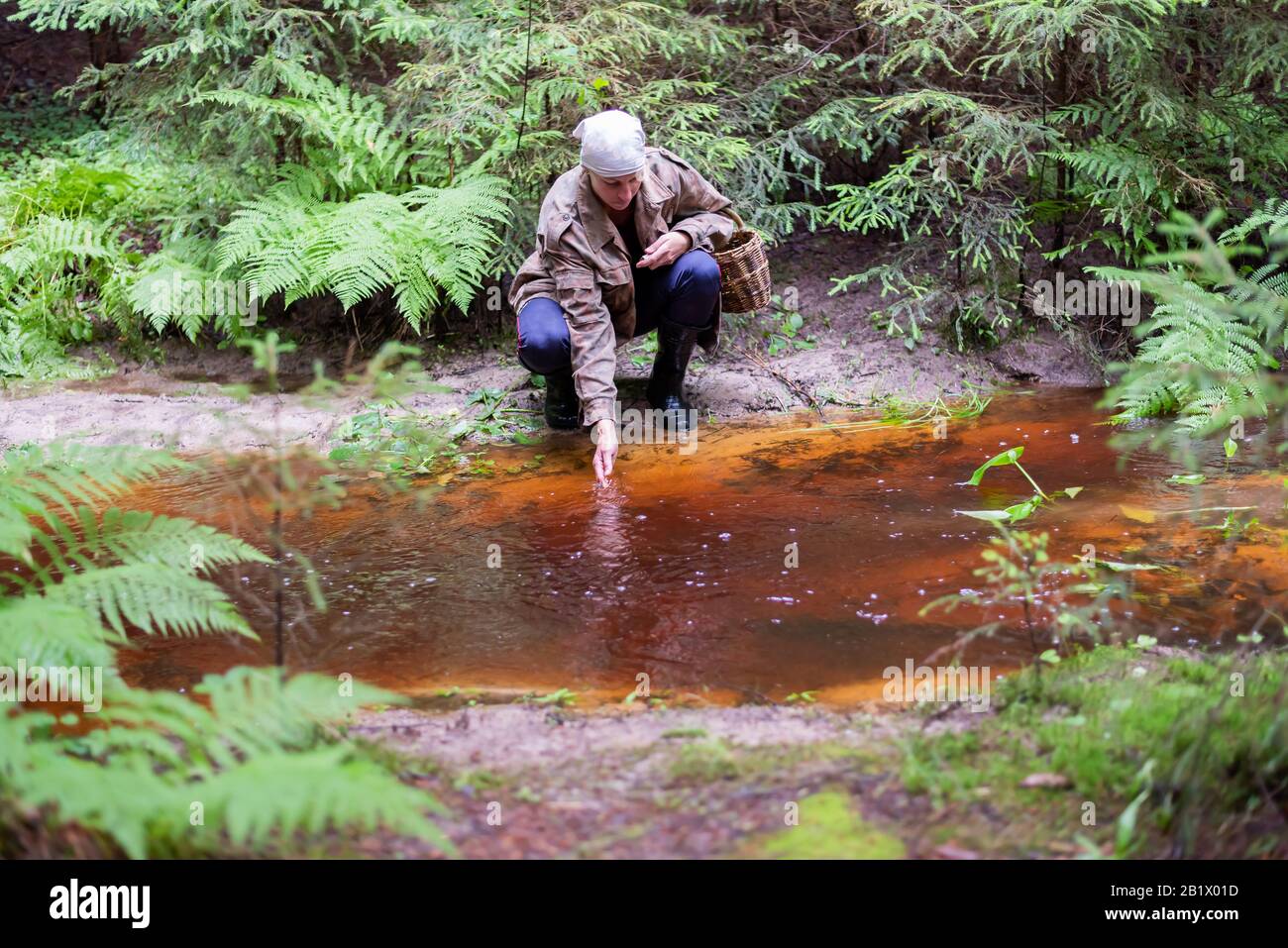 Eine Frau mit einem Korb mit Pilzen im Wald. Stockfoto