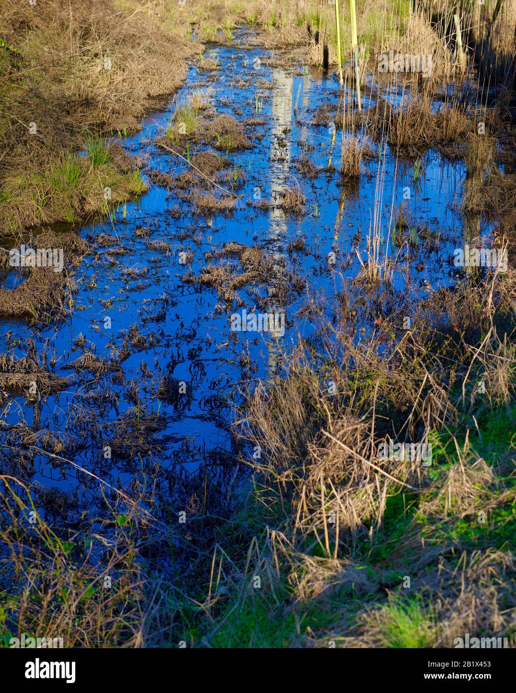 Die Pantone-Farbe des Jahres 2020, klassisch blau, ist an vielen Stellen zu finden, wenn man nur die Augen offen hält. Stockfoto