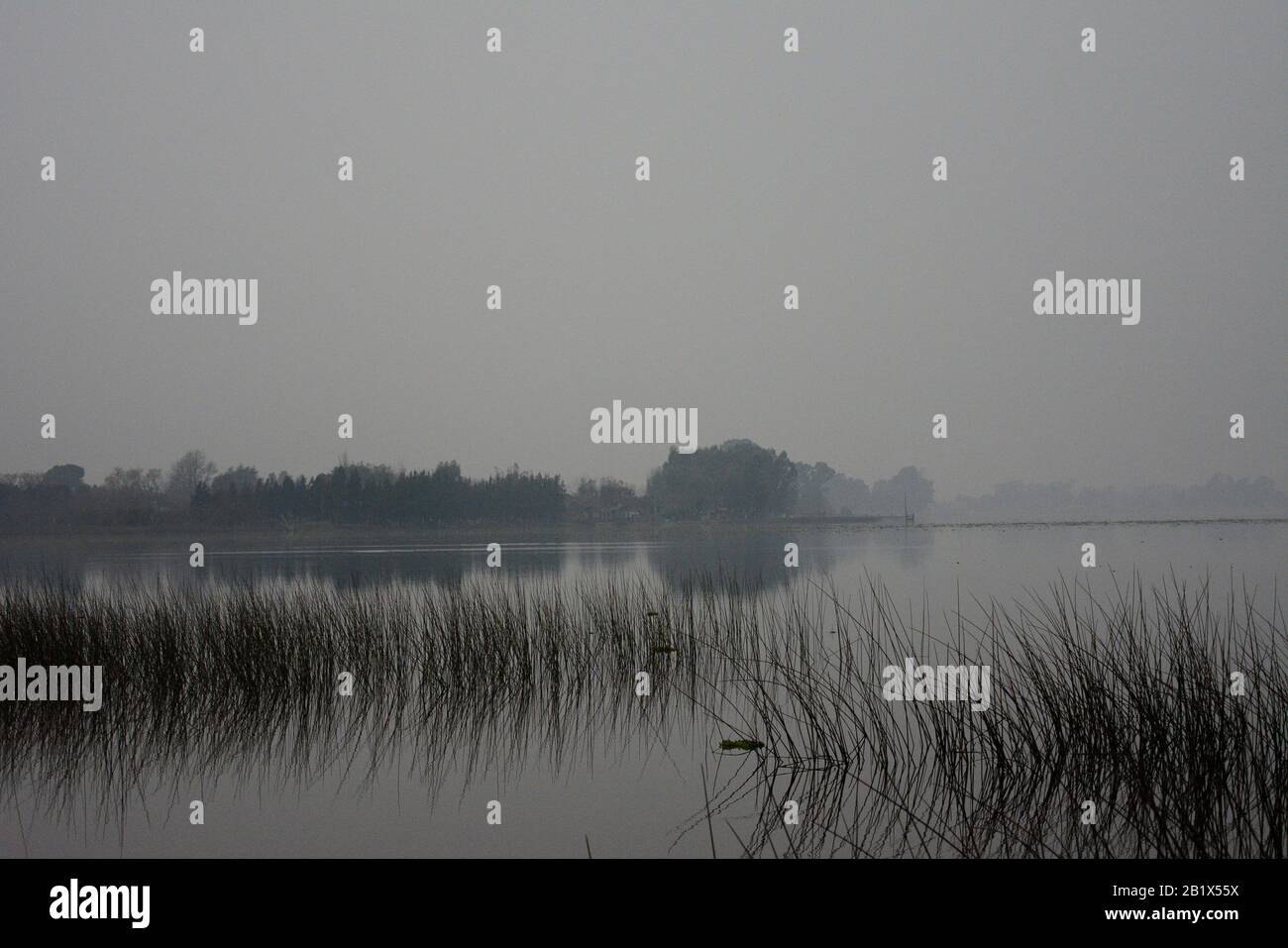 Buenos Aires de Campo en Invierno Stockfoto