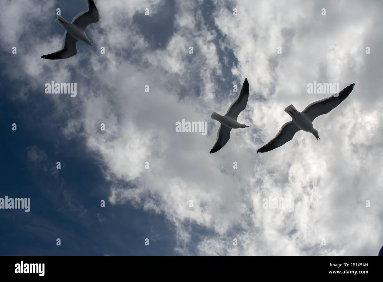 Paseando por bariloche Stockfoto