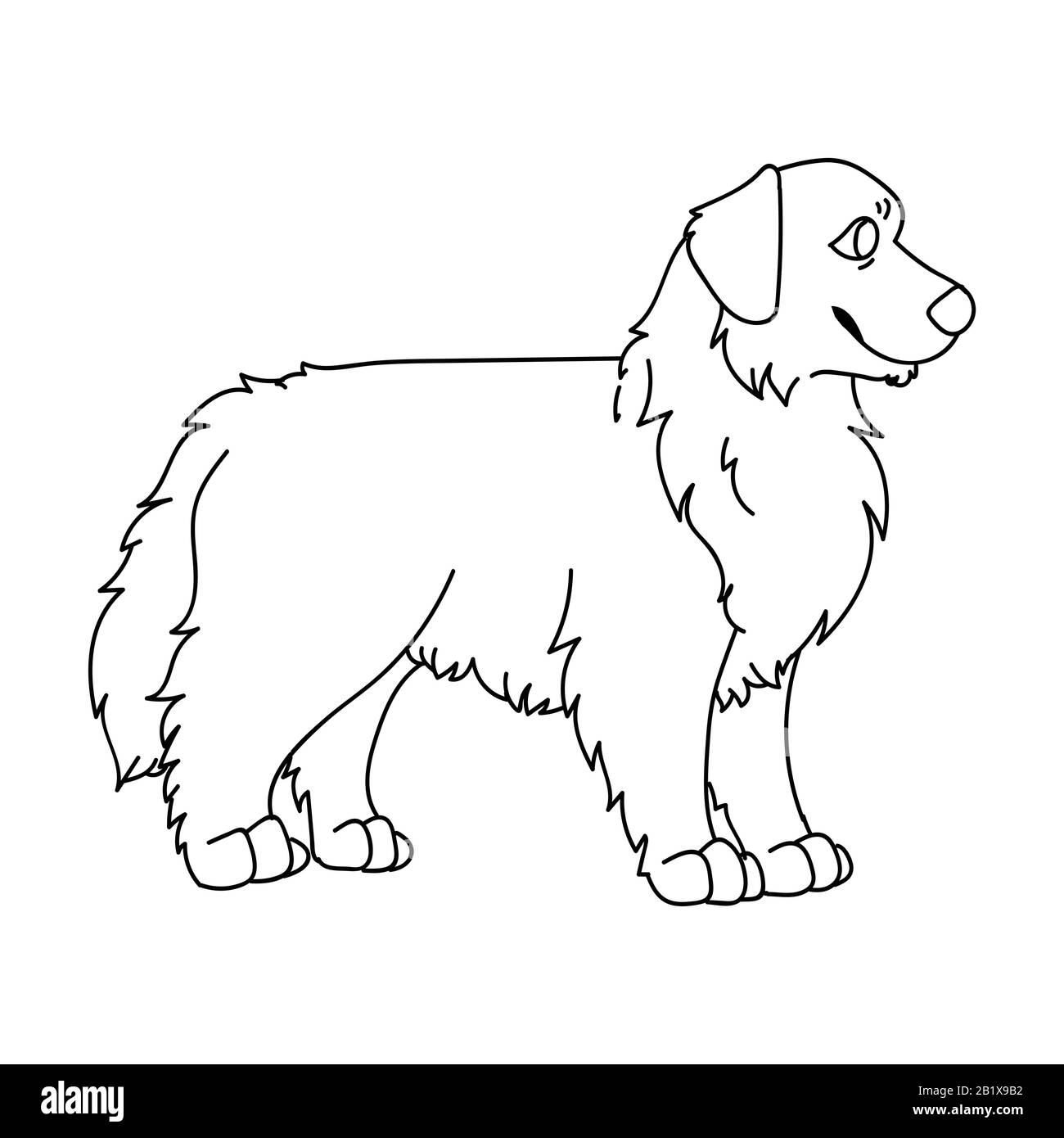 Cute Cartoon monochrome Lineart australian Shepherd dog Vector Clipart. Stammbaum Zwingerdoggie Rasse für Hundefreunde. Reinrassige Hauswelpe für Haustiere Stock Vektor