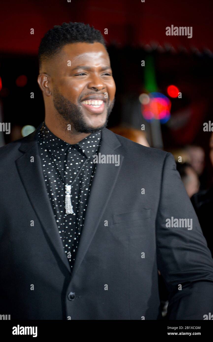 Los Angeles, USA. Februar 2020. Los ANGELES, CA: 27, 2020: Winston Herzog bei der Weltpremiere von 'Spenser Confidential' im Regency Village Theatre. Bildnachweis: Paul Smith/Alamy Live News Stockfoto