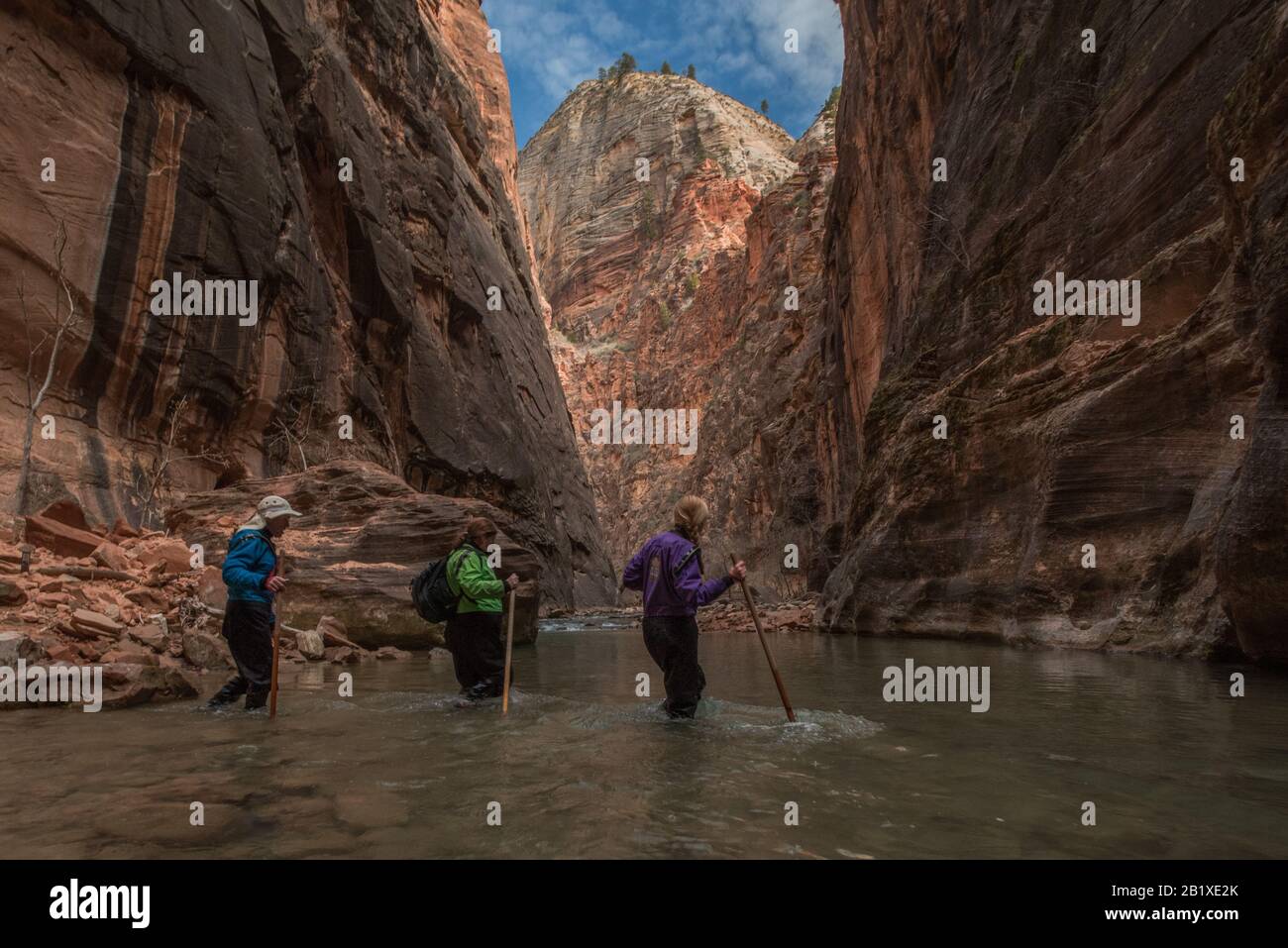 Eine Familie, die im Zion National Park die Verendigungen wandert, führt die Wanderung durch Schlitzkanonen und durch einen Bach an ihrem Grund. Stockfoto