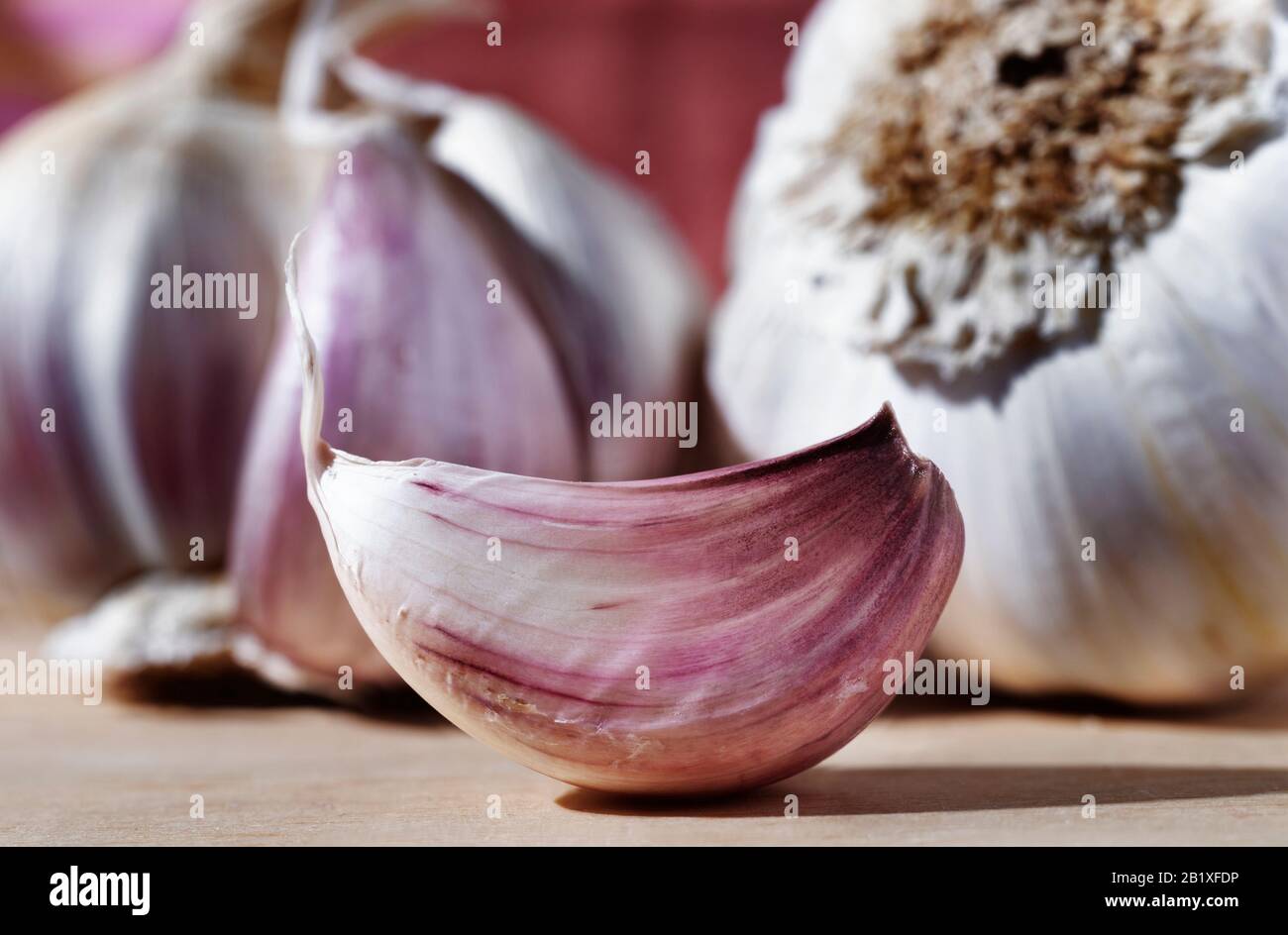 Schöne weiße - lila Knoblauchzehe auf Holztisch im Hintergrund Knoblauchzwiebeln Stockfoto