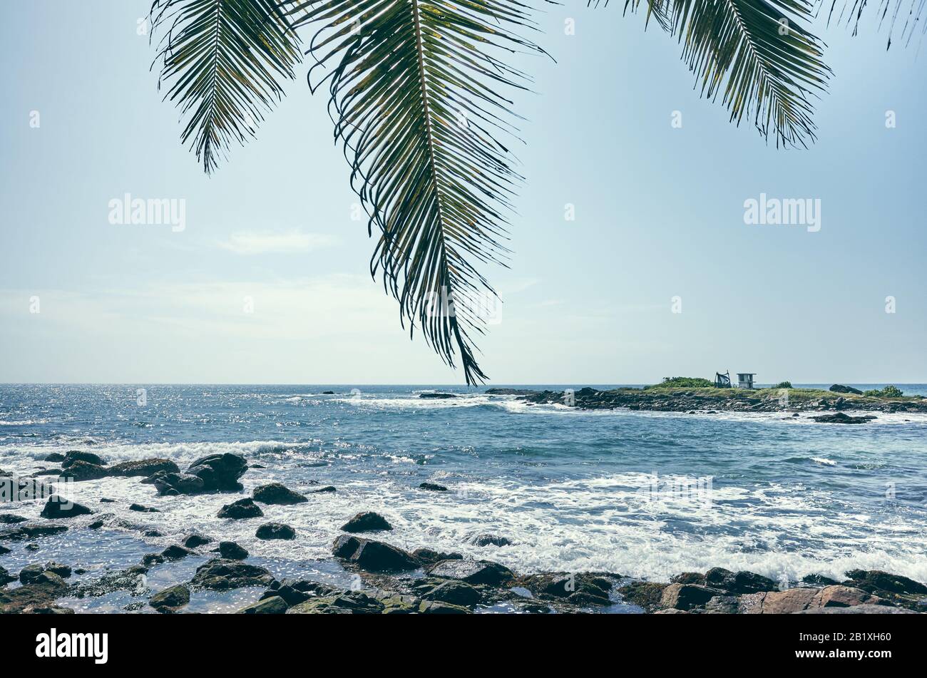 Palm verlässt an einem tropischen Strand gegen die Sonne, farbenes Bild. Stockfoto