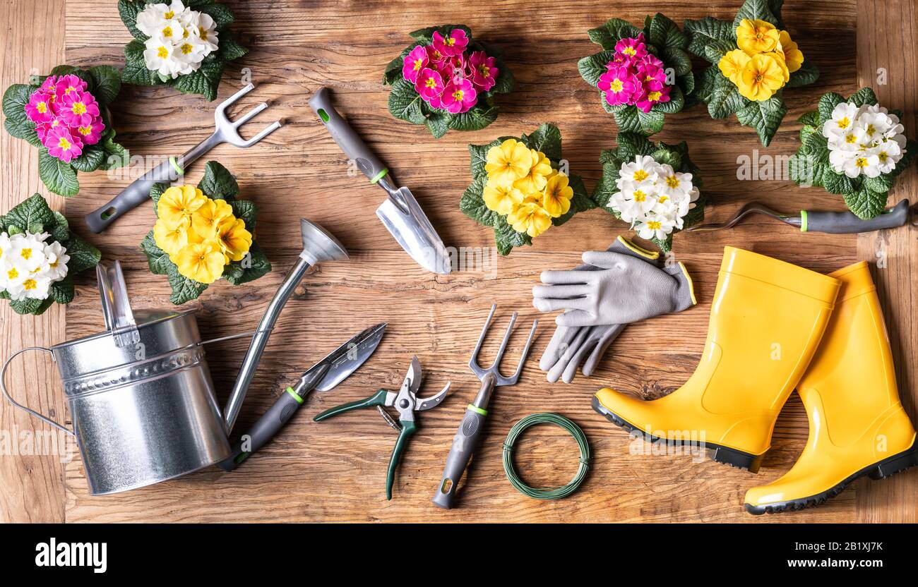 Gartenwerkzeuge Und Blumentöpfe Auf Holzoberfläche Stockfoto