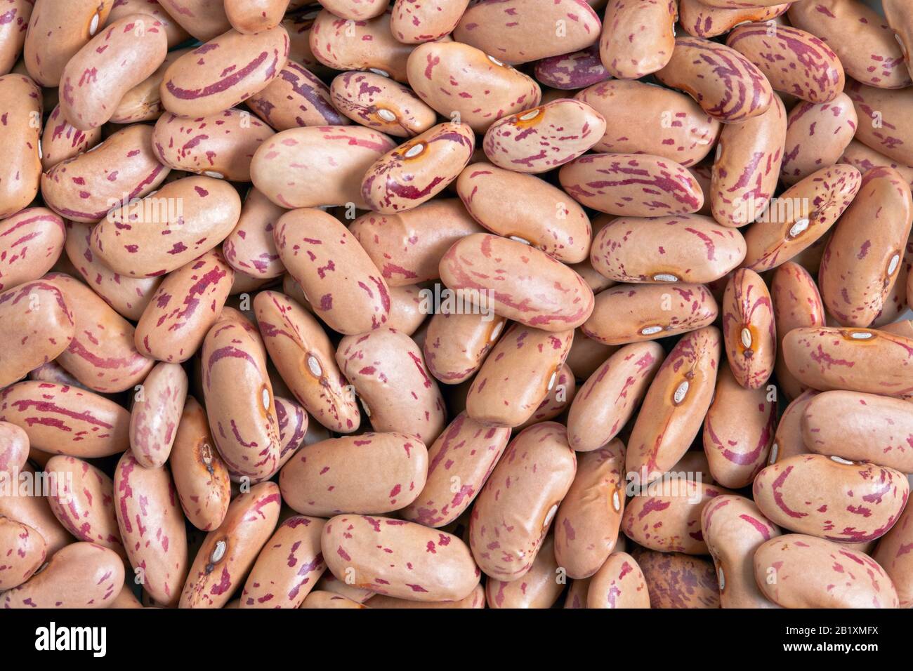 Cranberry Bean Textur Hintergrund. Auch Borlotti Bohnen oder Shell Bohne genannt. Cranberry Beans sind mit roten Flecken abgerundet. Stockfoto