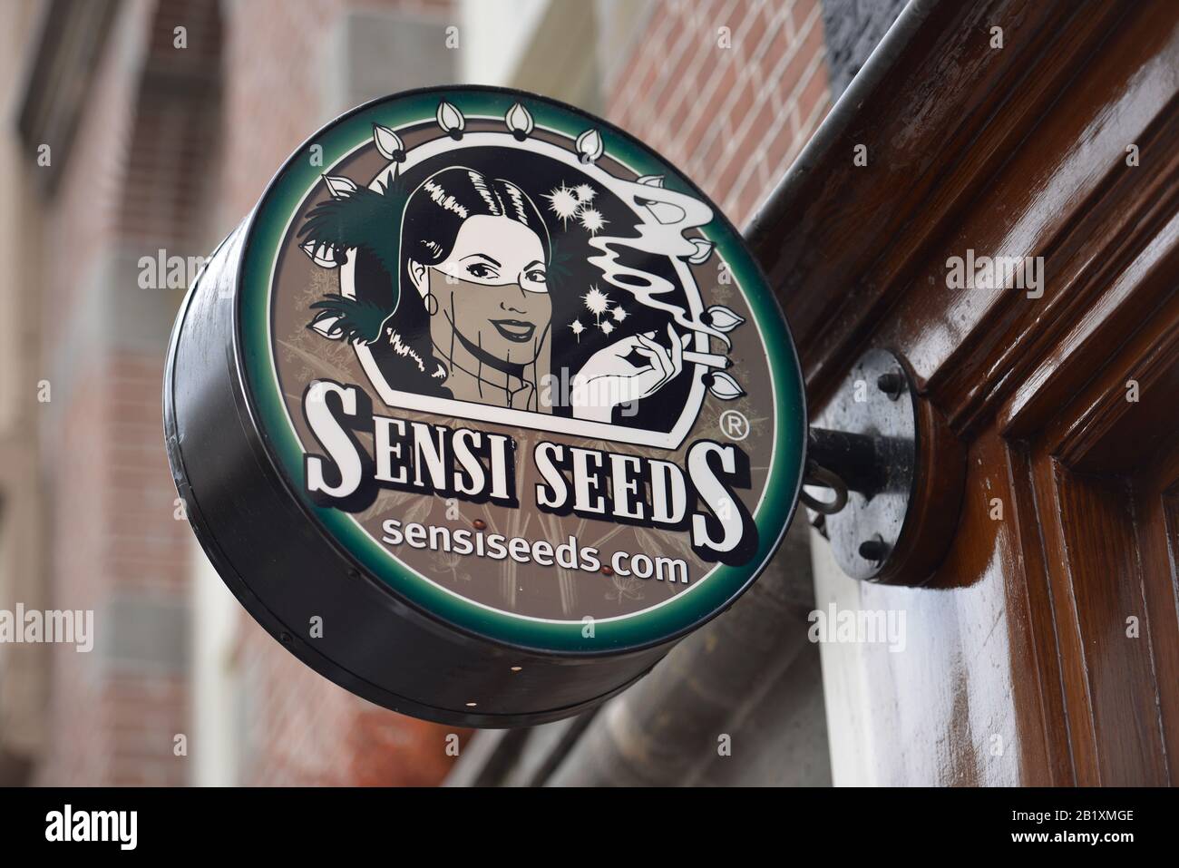 Sensi Seeds, Oudezijds Achterburgwal, Amsterdam, Niederlande Stockfoto