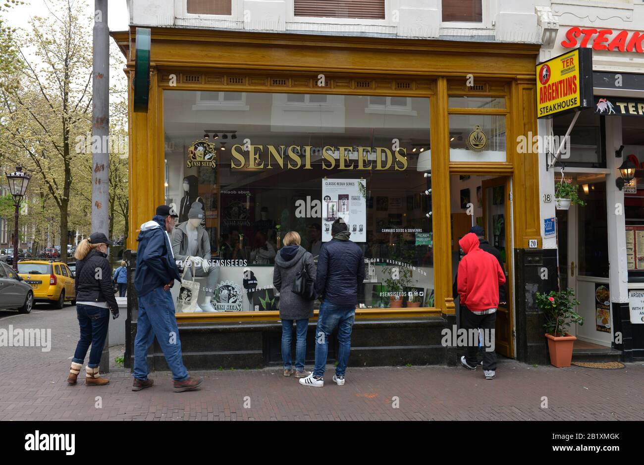 Sensi Seeds, Oudezijds Achterburgwal, Amsterdam, Niederlande Stockfoto