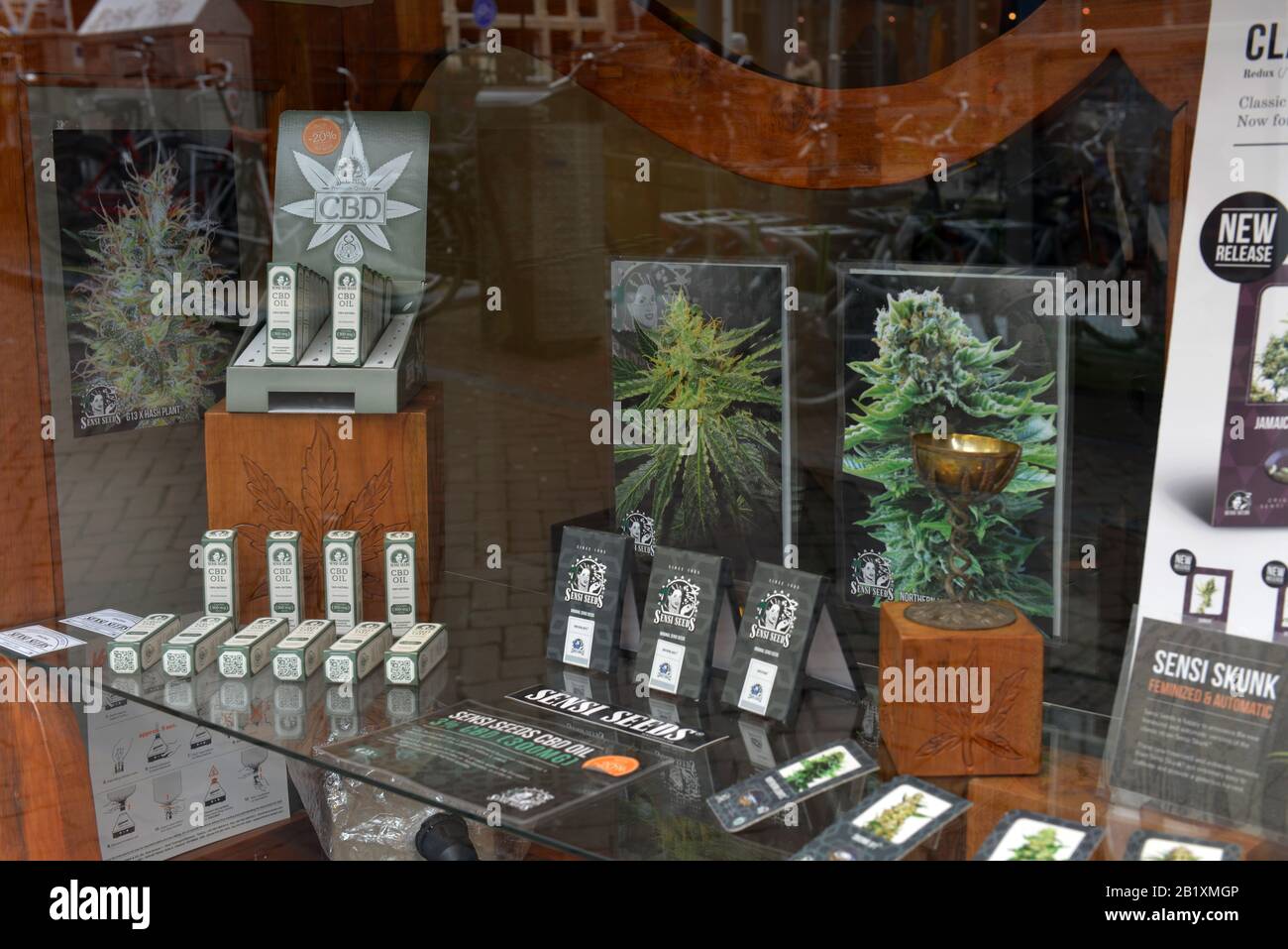 Sensi Seeds, Oudezijds Achterburgwal, Amsterdam, Niederlande Stockfoto