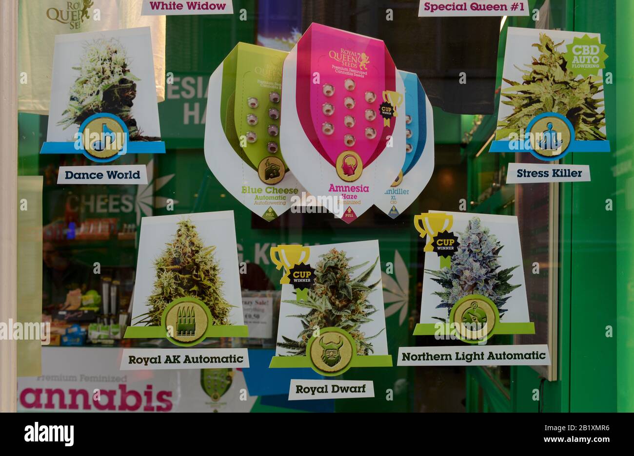 Cannabis Samenhandel, Oudezijds Achterburgwal, Amsterdam, Niederlande Stockfoto