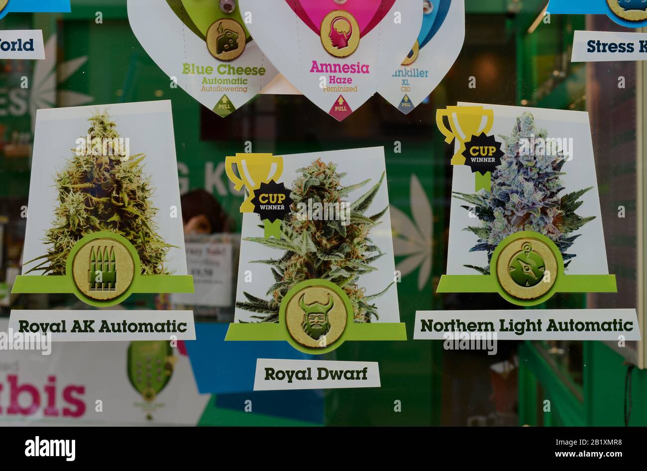 Cannabis Samenhandel, Oudezijds Achterburgwal, Amsterdam, Niederlande Stockfoto