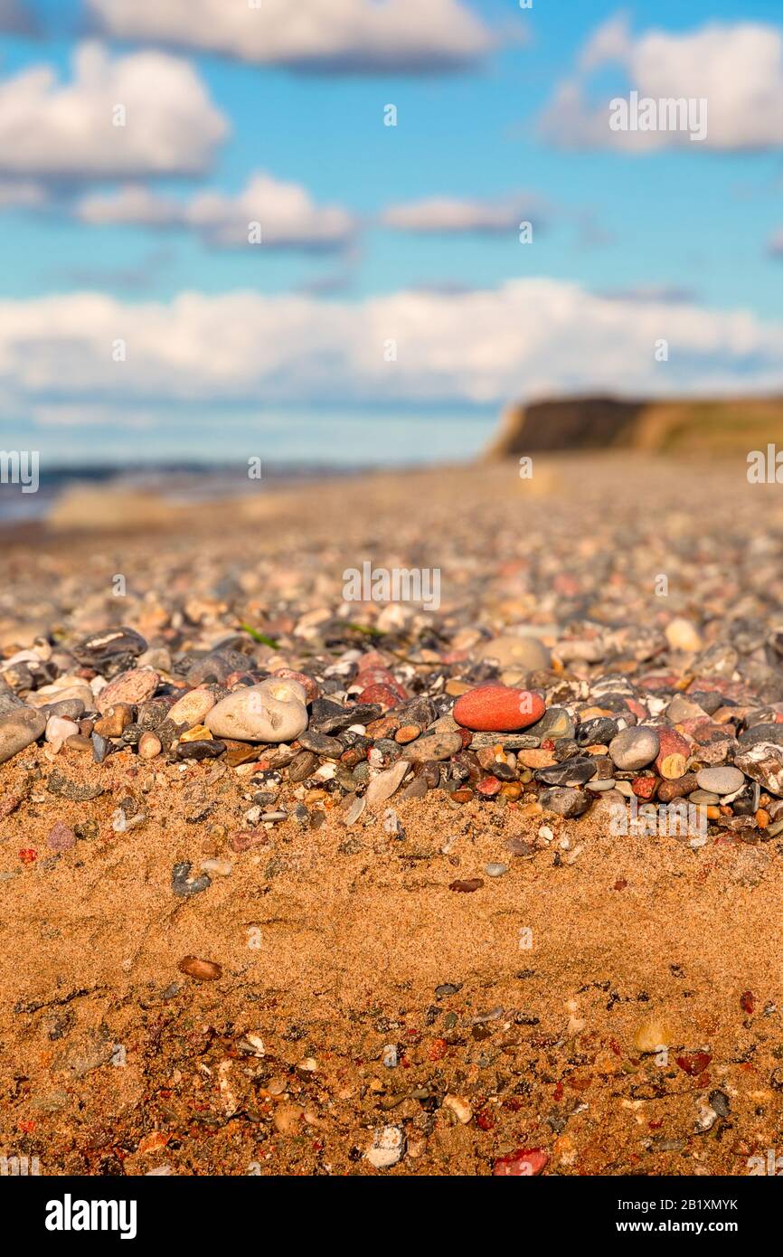 Strandboden aus Kieselsteinen und Sand bei Heiligenhafen an der Ostsee Stockfoto