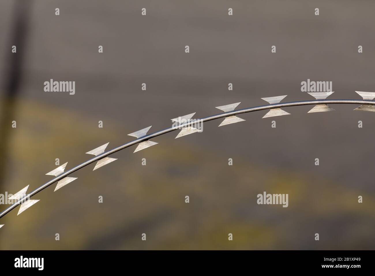 Nahaufnahme/isolierte Sicht auf Rasierdraht oder Stacheldraht. Grau (Asphalt) und gelber Hintergrund. Wird verwendet, um zu vermeiden, ein- oder auszusteigen. Gefängnisse, Militär... Stockfoto