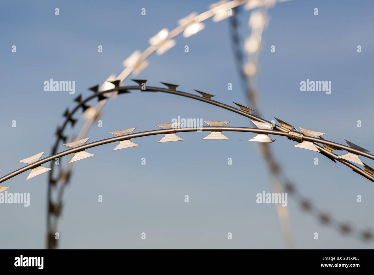 Detailansicht/isolierte Ansicht auf scharfem, gebogenem Rasierdraht. Blauer Hintergrund (Himmel). Einsatz an Grenzen, Flughäfen, Strafvollzugslagern, Militärstützpunkten. Stockfoto