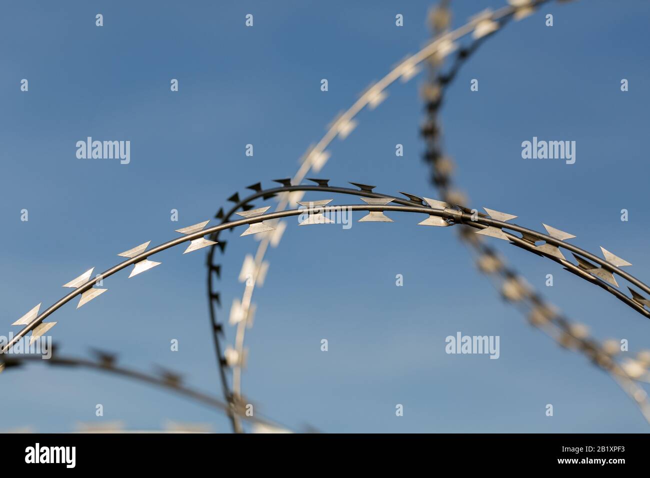 Detail der / isolierten Ansicht auf scharfem, metallischem Rasierdraht / Stacheldraht. Blauer Himmel im Hintergrund. Symbol für Grenze, Migration einschränken, Gefängnis. Stockfoto