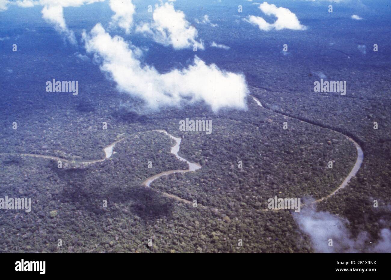 Amazonas-Fluss, amazonas Stockfoto