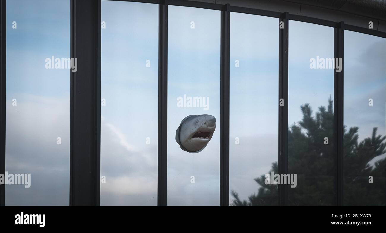 Peufcmi Gartenhai Skulptur - 3D Harz Dekoration 22cm Für Garten & Pool