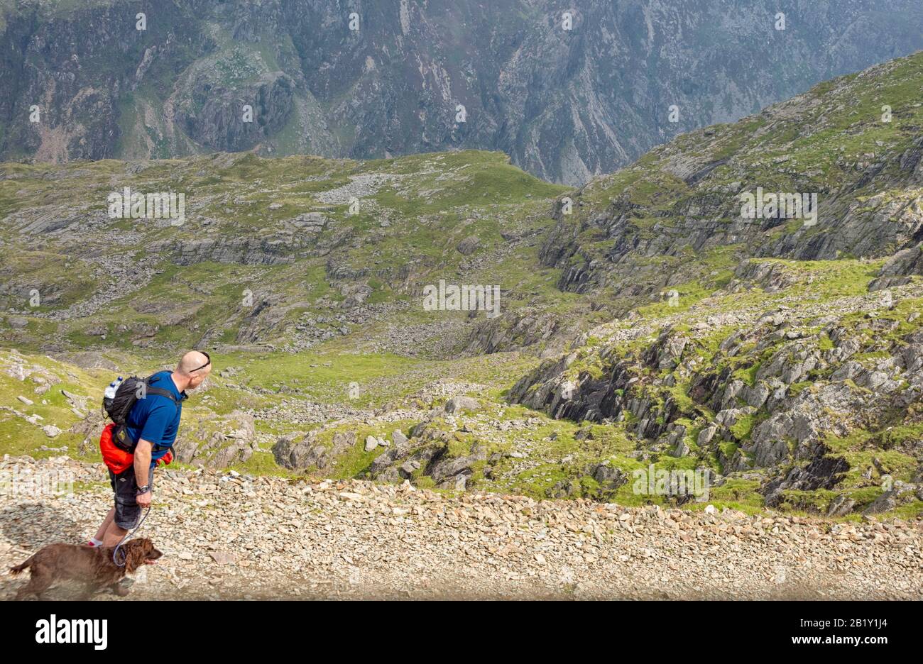 Blick vom Zugfenster auf Wanderer mit Hund, der den Weg zum Snowdon Gipfel in Wales hinauf geht Stockfoto