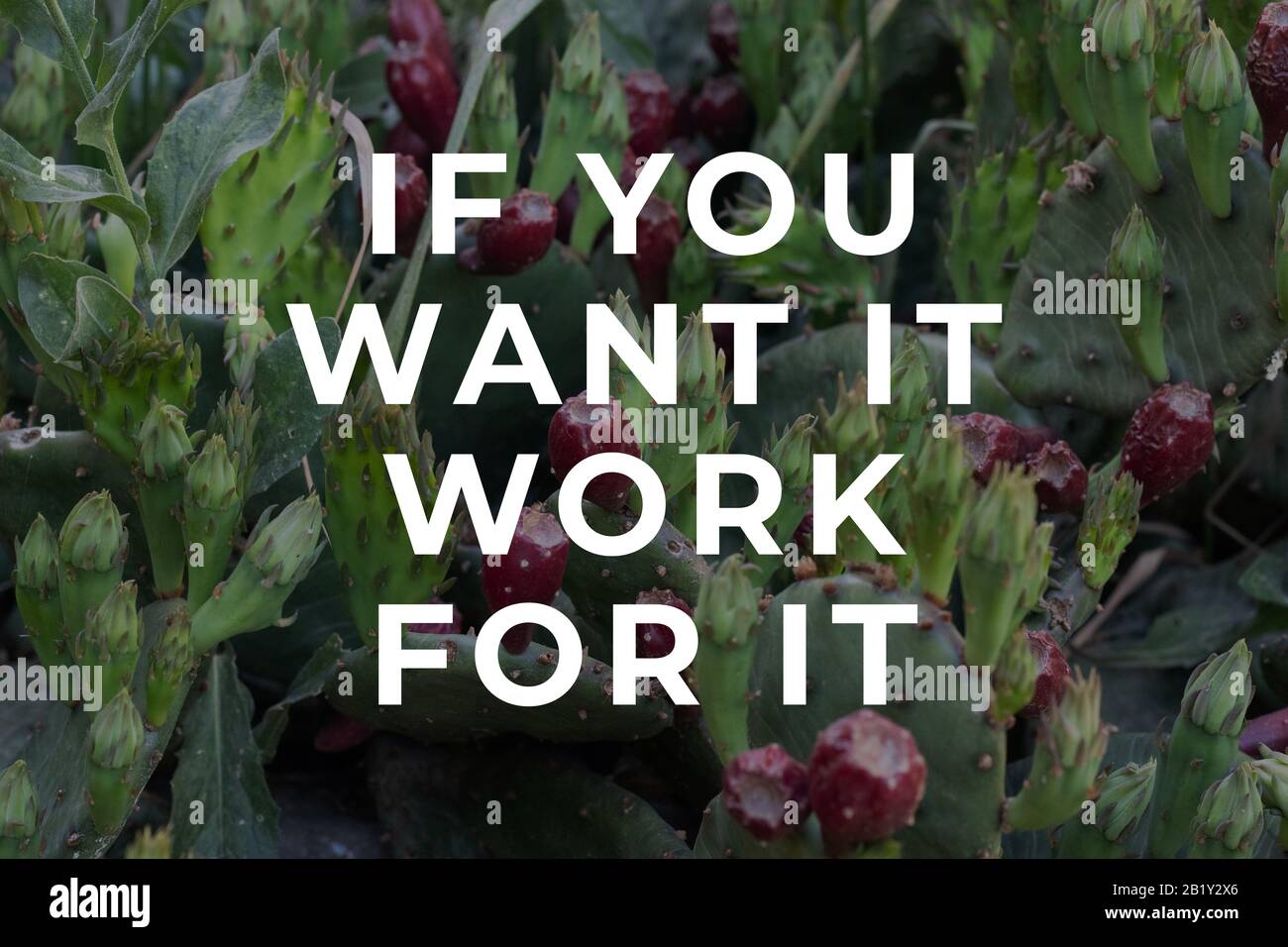 Wenn Sie möchten, dass es dafür funktioniert Stockfoto