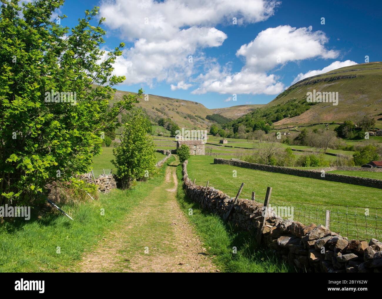 Sommerblick auf einen typischen ummauerten Bauernhof-Track von Yorkshire Dales in der Nähe von Muker in Swaledale Stockfoto