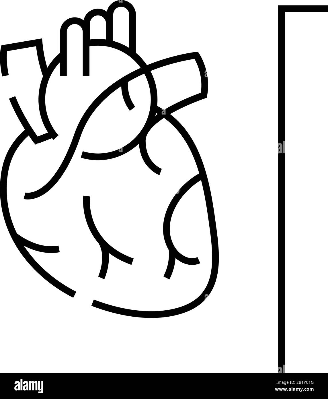 Internes Organ das Herzliniensymbol, Konzeptzeichen, Konturvektorabbildung, lineares Symbol. Stock Vektor