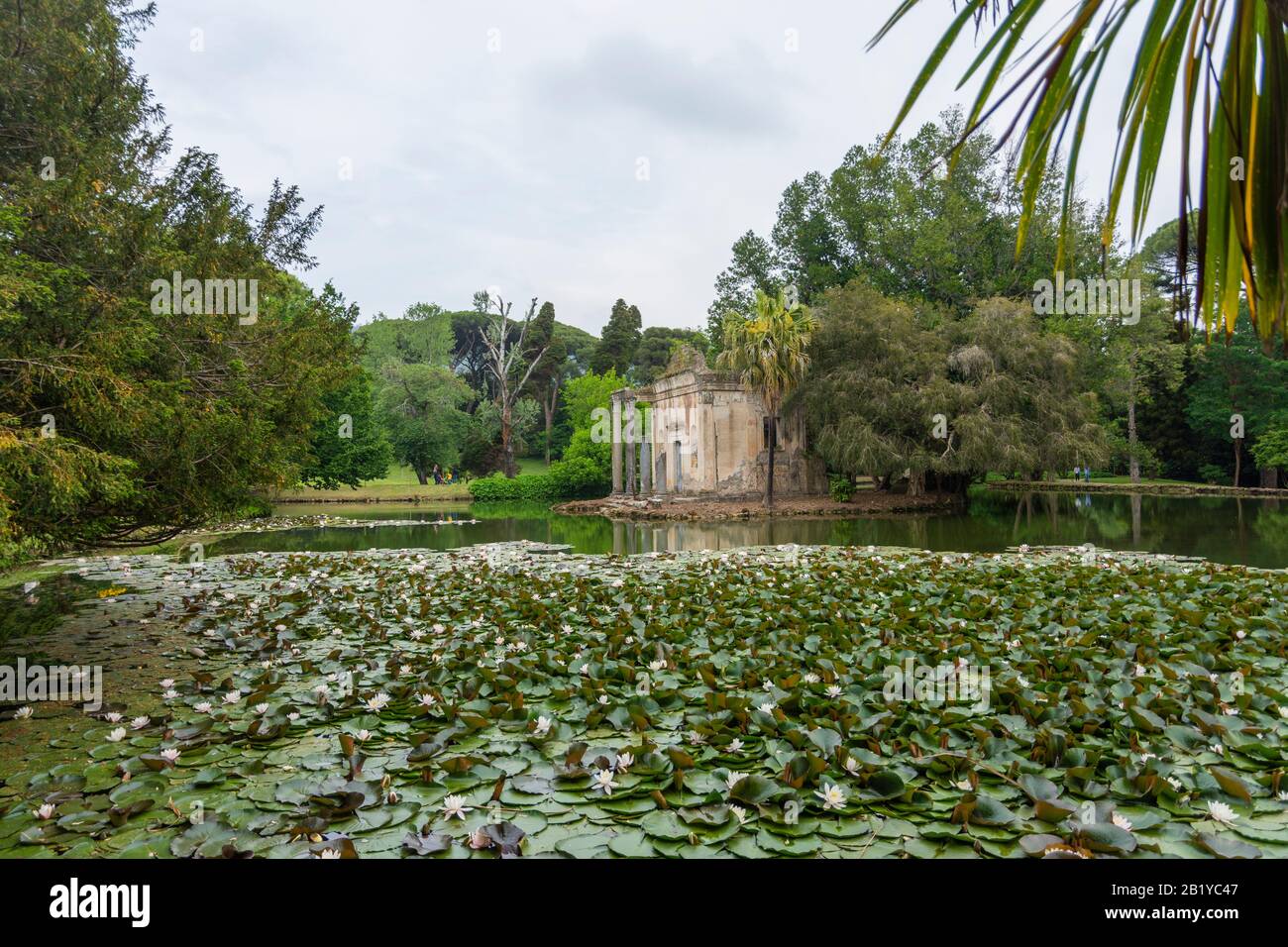 Das Gebäude wurde inmitten eines Teiches mit Lilienstätten im Englischen Garten des Königlichen Palastes von Caserta, Italien, abgebrochen. Аn Ruinen eines Tempels. Stockfoto