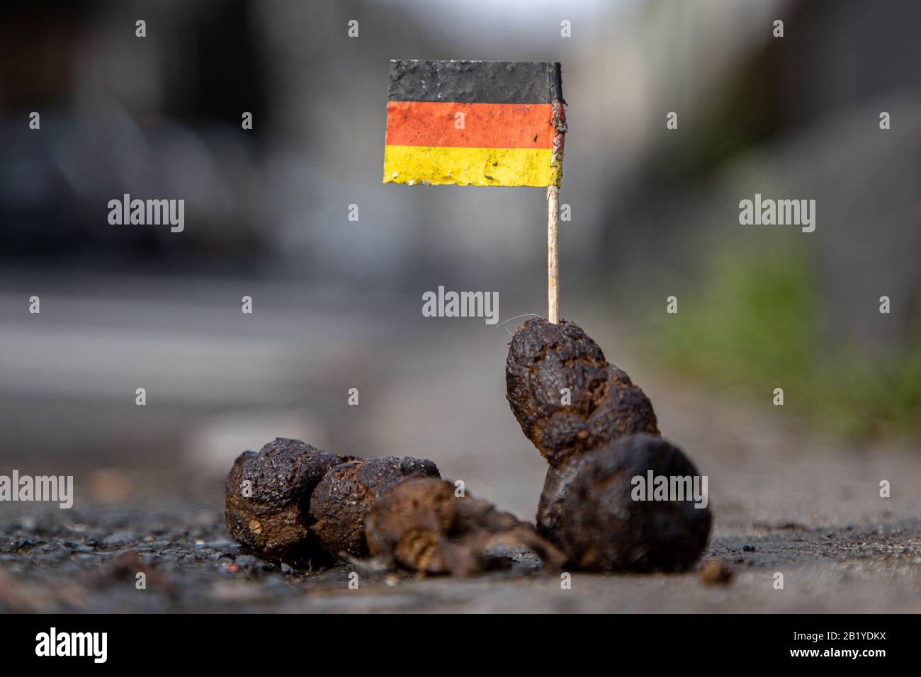 Deutsche Fahne hält sich in Hundeschmutzungen auf Stockfoto