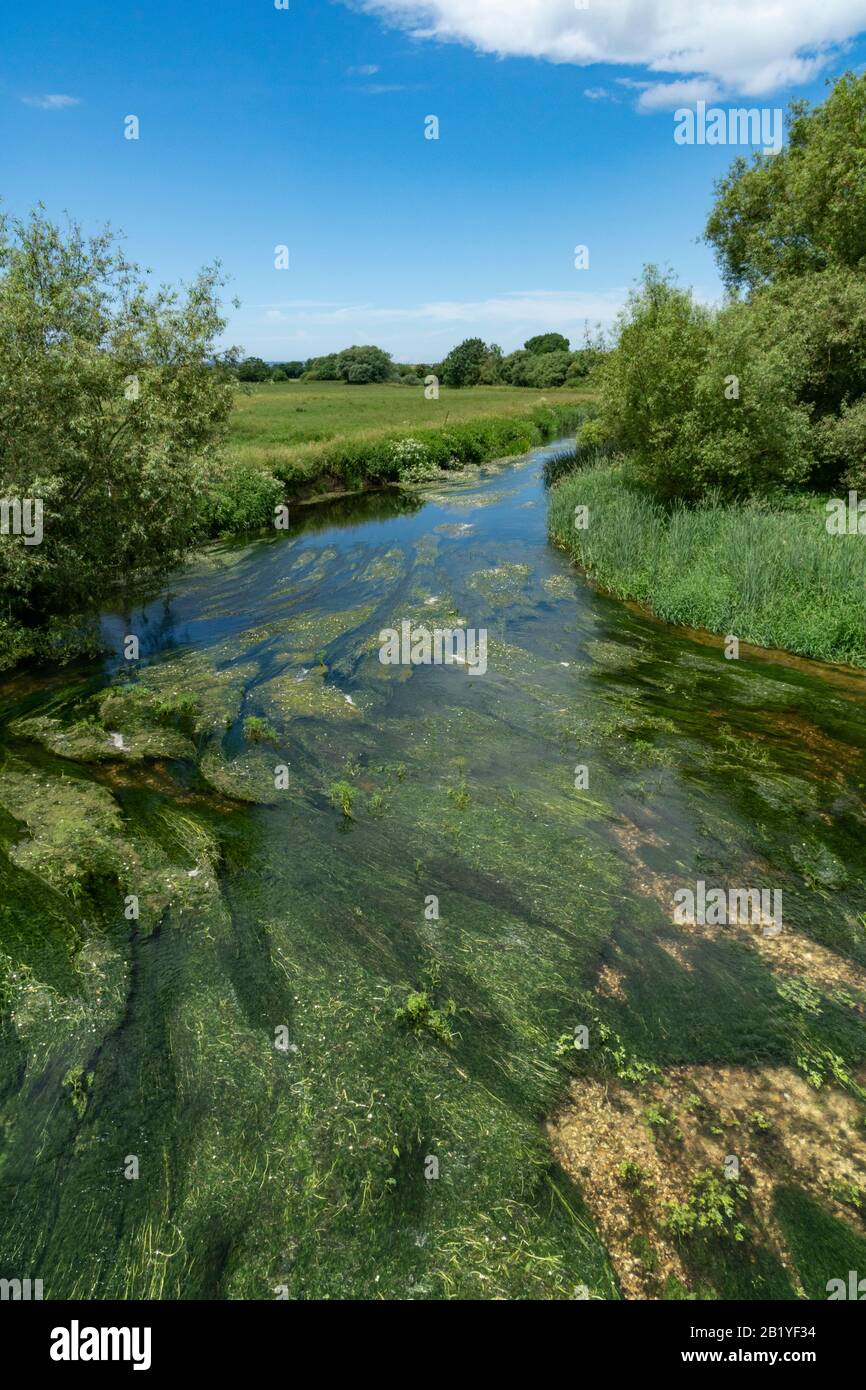 Flussstour von White Mill Bridge, Sturminster Marshall, Dorset, Stockfoto