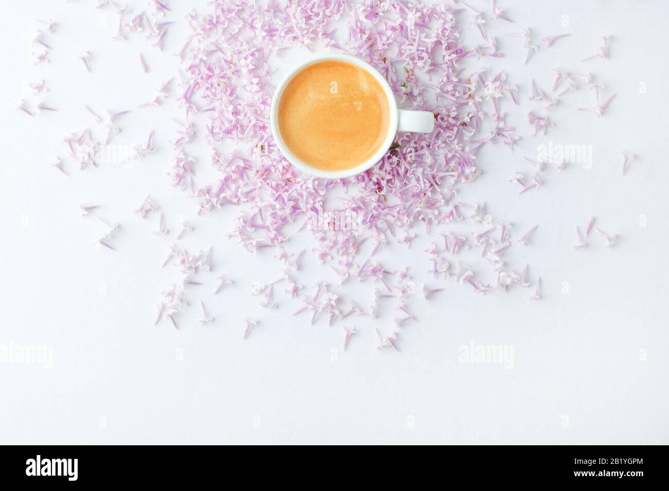 Morgens Frühstück mit Kaffeetasse und lila Blumen auf weißem Hintergrund. Flaches Lay, Draufsicht Frauen Hintergrund. Minimales Konzept, Hochzeit, valentinstag, Stockfoto