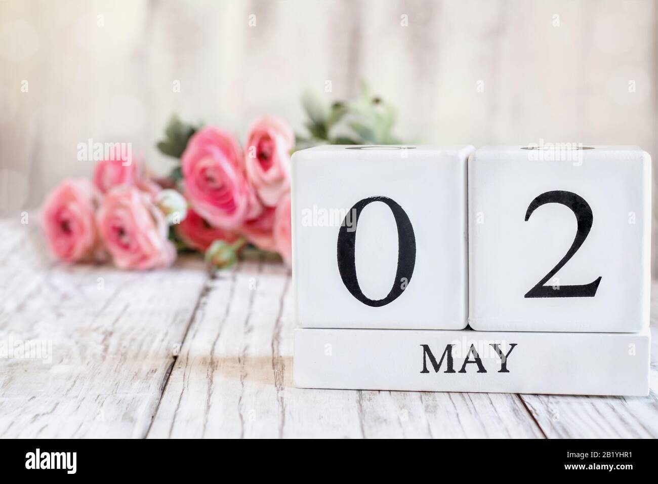 Weiße Holzkalendarkaden mit dem Datum 2. Mai. Selektiver Fokus mit pinkfarbenem Ranunculus im Hintergrund über einem Holztisch. Stockfoto