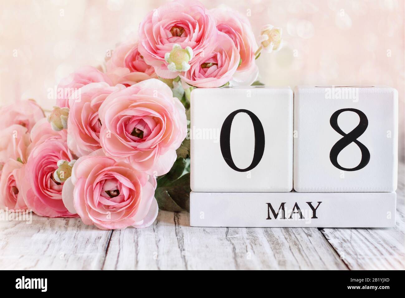 Weiße Holzkalendare mit dem Datum 8. Mai und rosafarbene Ranunculus Blumen über einem Holztisch. Stockfoto