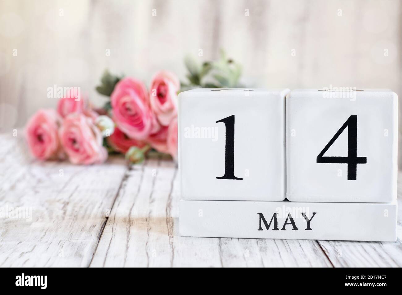 Weiße Holzkalendarkaden mit dem Datum 14. Mai. Selektiver Fokus mit pinkfarbenem Ranunculus im Hintergrund über einem Holztisch. Stockfoto