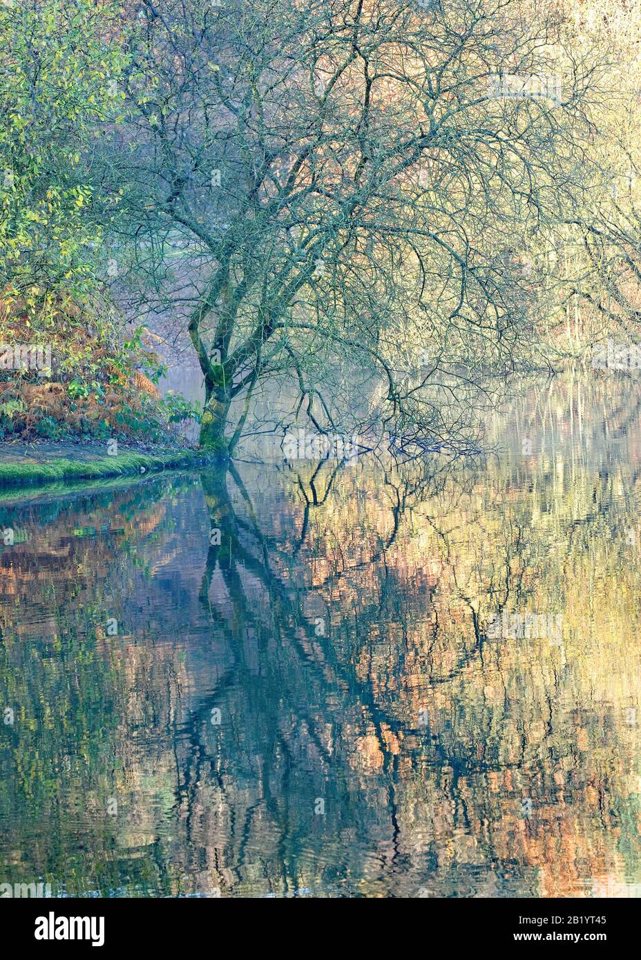 Der Herbst im Tal der Fair Oak zeigt einen der drei großen Waldpools mit Bäumen, die ihre schönen Herbsttöne und Tönungen auf Cannock Chase A zeigen Stockfoto